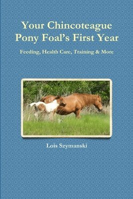 Your Chincoteague Pony Foal's First Year 1