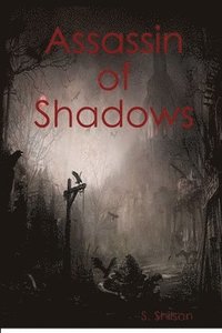 bokomslag Assassin of Shadows