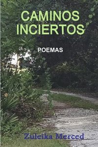 bokomslag Caminos Inciertos