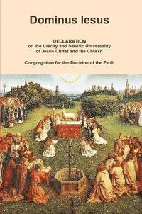bokomslag Dominus Iesus, Declaration on the Unicity and Salvific Universality of Jesus Christ and the Church