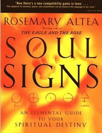 bokomslag Soul Signs