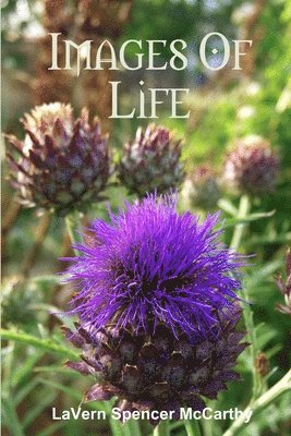 Images Of Life