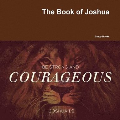 bokomslag The Book of Joshua