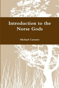 bokomslag Introduction to the Norse Gods