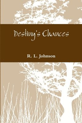 bokomslag Destiny's Chances