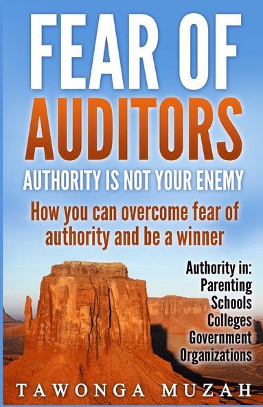 bokomslag Fear of Auditors