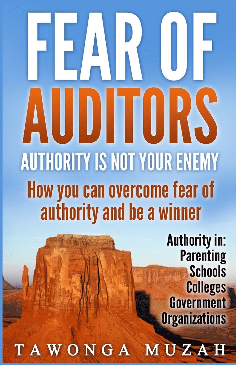 Fear of Auditors 1