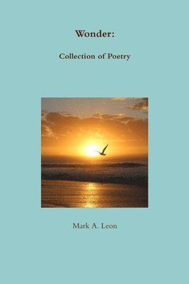 Wonder:  Collection of Poetry 1