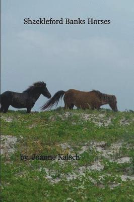 Shackleford Banks Horses 1
