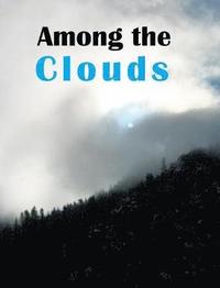 bokomslag Above the Clouds DI only