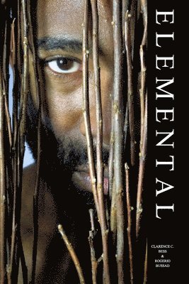 Elemental 1