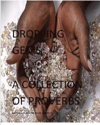 bokomslag Dropping Gems a Collection of Proverbs Vol.1