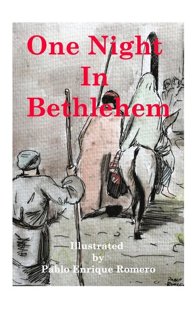 bokomslag One Night In Bethlehem
