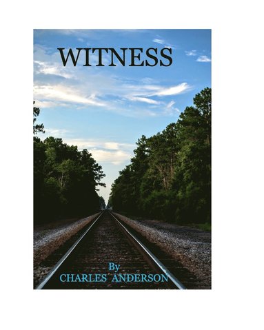 bokomslag Witness