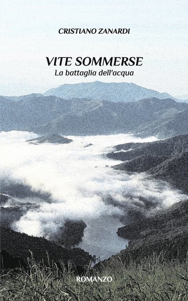 bokomslag Vite Sommerse
