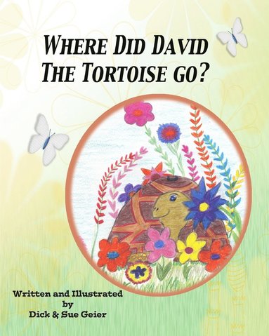 bokomslag Where Did David The Tortoise Go?