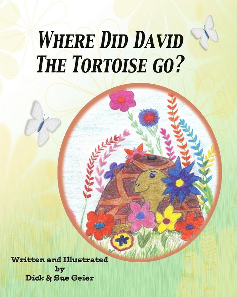 Where Did David The Tortoise Go? 1