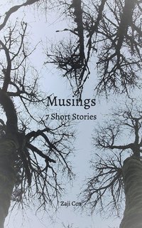 bokomslag Musings