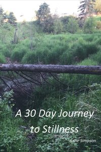 bokomslag A 30 Day Journey to Stillness