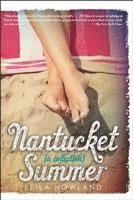 Nantucket Summer (Nantucket Blue and Nantucket Red Bind-Up)
