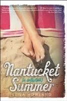 Nantucket Summer (Nantucket Blue and Nantucket Red Bind-Up) 1