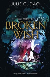 bokomslag The Mirror: Broken Wish