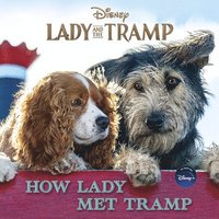 bokomslag Lady And The Tramp: How Lady Met Tramp
