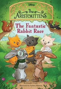 bokomslag The Aristokittens #3: The Fantastic Rabbit Race