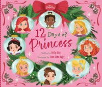 bokomslag 12 Days Of Princess