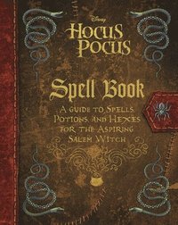 bokomslag Hocus Pocus Spell Book