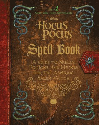 bokomslag Hocus Pocus Spell Book