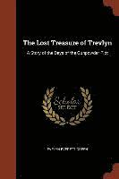 bokomslag The Lost Treasure of Trevlyn