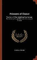 bokomslag Prisoners of Chance