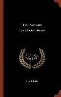 bokomslag Hollowmell