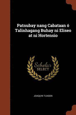 bokomslag Patnubay nang Cabataan  Talinhagang Buhay ni Eliseo at ni Hortensio