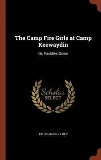 bokomslag The Camp Fire Girls at Camp Keewaydin