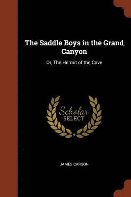 bokomslag Saddle Boys in the Grand Canyon