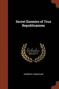 bokomslag Secret Enemies of True Republicanism