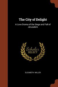 bokomslag The City of Delight