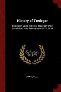 bokomslag History of Tredegar