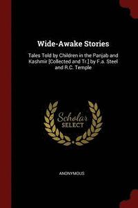 bokomslag Wide-Awake Stories