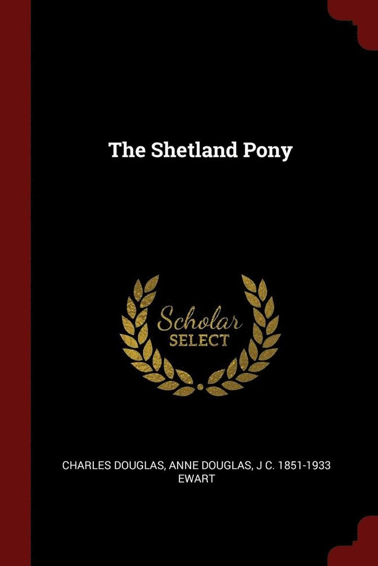 The Shetland Pony 1