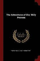 bokomslag The Adventures of Unc' Billy Possum