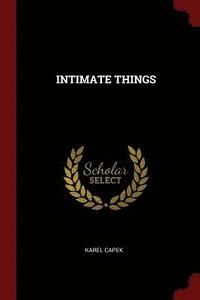 bokomslag Intimate Things