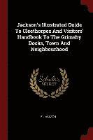 bokomslag Jackson's Illustrated Guide To Cleethorpes And Visitors' Handbook To The Grimsby Docks, Town And Neighbourhood