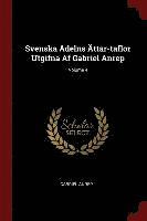 bokomslag Svenska Adelns ttar-taflor Utgifna Af Gabriel Anrep; Volume 4