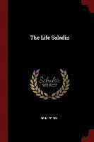 bokomslag The Life Saladin