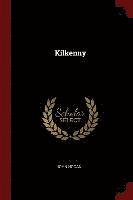bokomslag Kilkenny