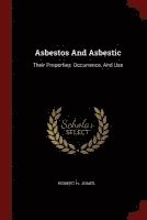bokomslag Asbestos And Asbestic
