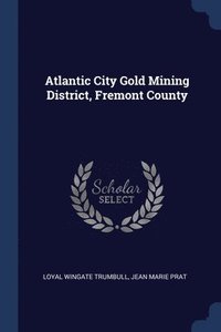 bokomslag Atlantic City Gold Mining District, Fremont County